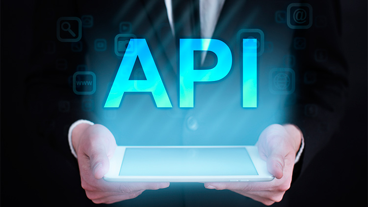API/Rest API Development Digital Web Solutionz