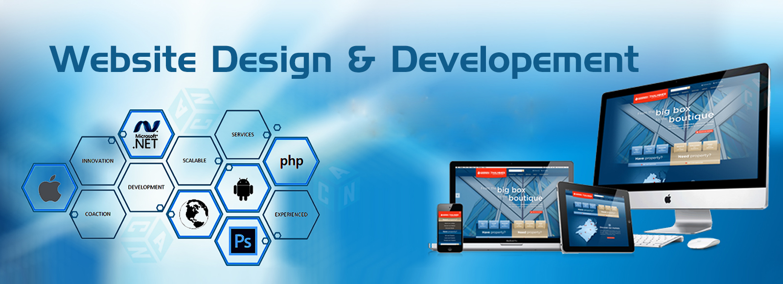 Digital Web Solutionz Web Development Company